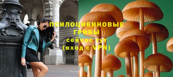 дмт Арсеньев