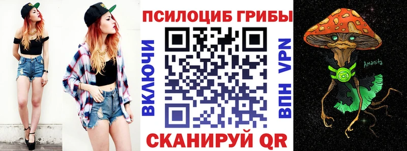 где продают наркотики  Богучар  Галлюциногенные грибы прущие грибы 